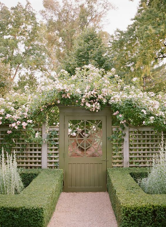 a grey trellis plus a creative sage gate that resembles a door, with lush blush flourishing vines that add a romantic touch to the garden and make it less manicured and polished