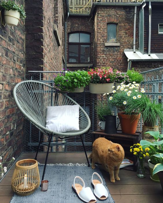 a summer balcony with potted greenery and blooms, a chair, a rug and candles