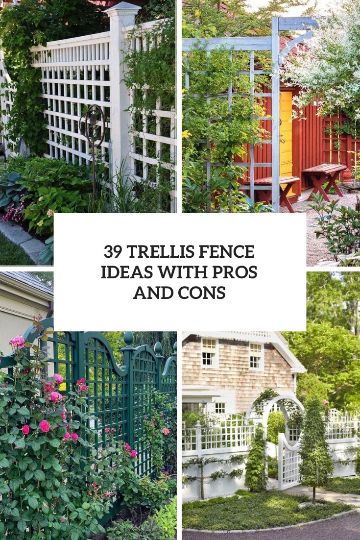 39 Trellis Fence Ideas With Pros And Cons