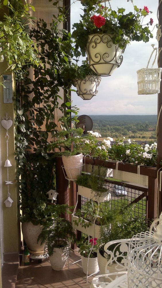 a balcony showing up some greenery and blooms, planters hanging on the railings and a trellis with some vines feels more like a garden