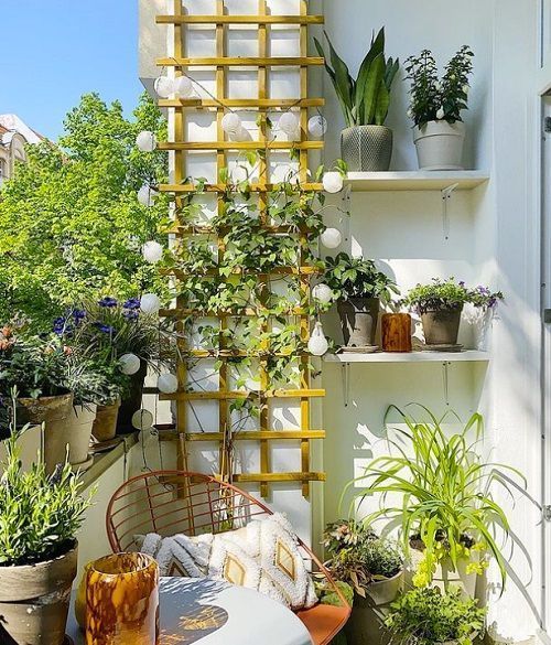 a balcony with a trellis and lights, shelves with potted plants, some modern furniture and some boho decor