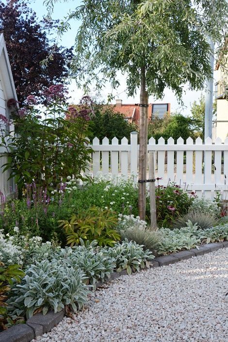 a beautiful and lush corner garden with some greenery, blooms and a couple of trees is a catchy and chic slot for a modern space