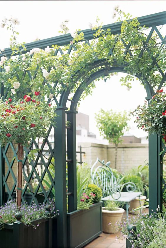 a vintage-inspired green metal lattice fence covereed with greenery is a lovely idea, and green fence matches the plants around