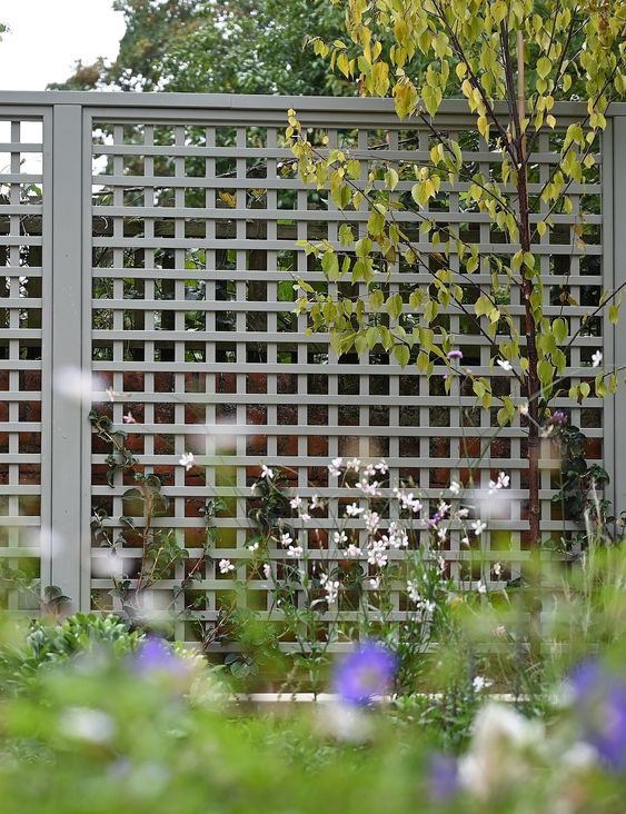 a beautiful grey privacy fence with some blooming vines is a delicate and subtle space divider