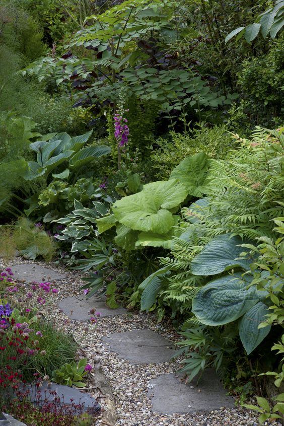 a beautiful shady garden with a rock and pebble path, greenery, oversized foliage, trees and bushes plus some adorable fuchsia and purple blooms for an accent