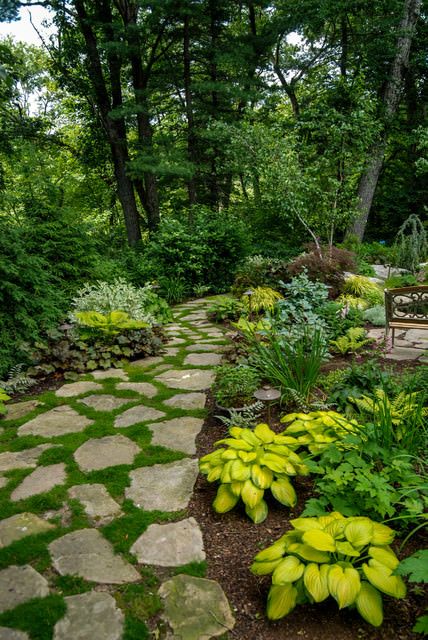 a beautiful shady garden with greenery, bold foliage, trees, a rock path with moss in between is a very romantic space