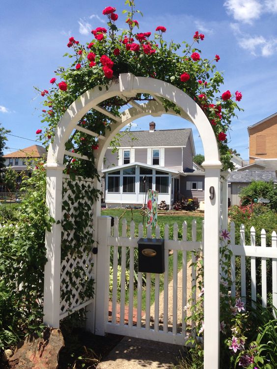 a bit of bold red vines over the gate give a classic and chic feel to the entrance and make the front yard feel traditional