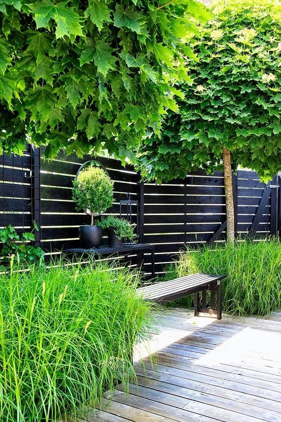 a black planked wooden fence with lush greenery and green trees, a black table with plants and a bench are great for a modern outdoor space