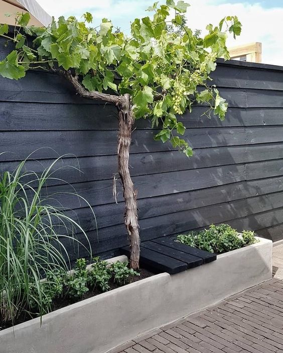 a black wooden fence with a long flower bed, greenery and a tree are a chic idea for a modern or Scandinavian space