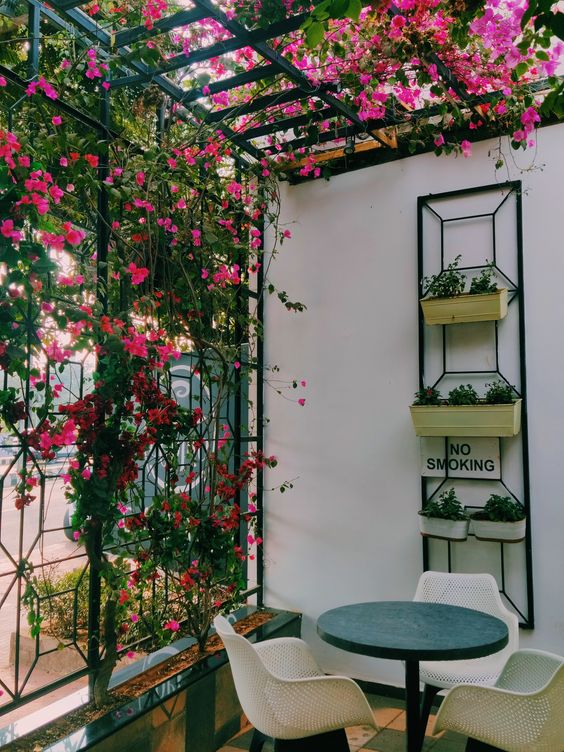 a balcony with metal grids done with vines and blooms, with modern furniture and a planter unit on the wall is wow