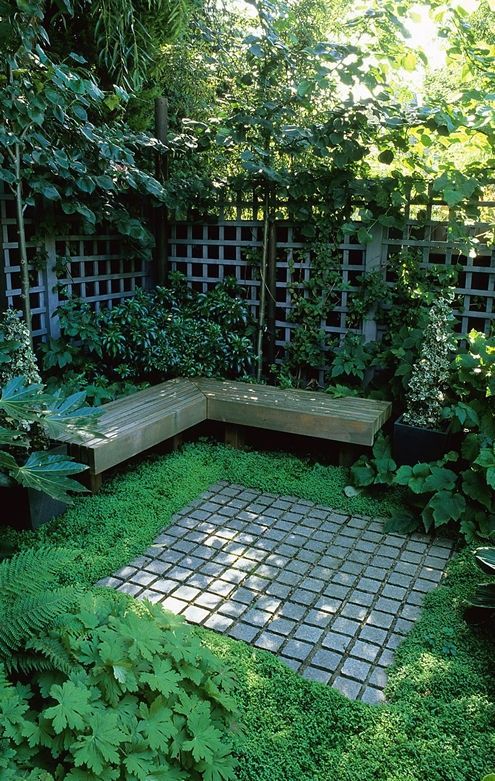 a blue trellis fence accented with green vines, with greenery around and a corner bench makes this small shady spot very cozy and secret