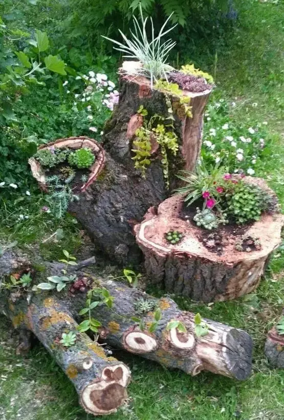 a bold arrangement of several tree stumps and logs that are planters with succulents and blooms