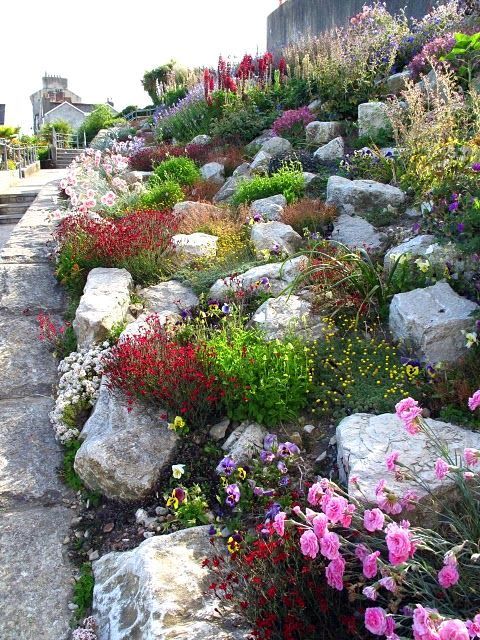 a bright Alpine-style rock garden with blooms and greenery is a cool and catchy nook that brings color to the rest of the space