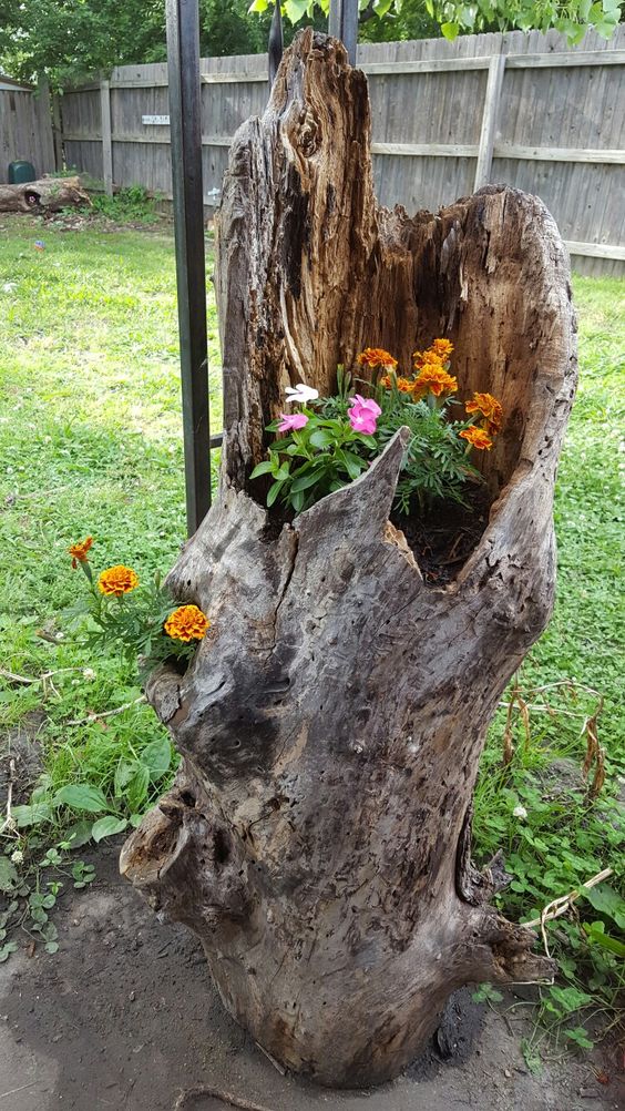 a broken and irregular stump piece with some marigolds and pink blooms and greenery is a lovely and bold decoration to make