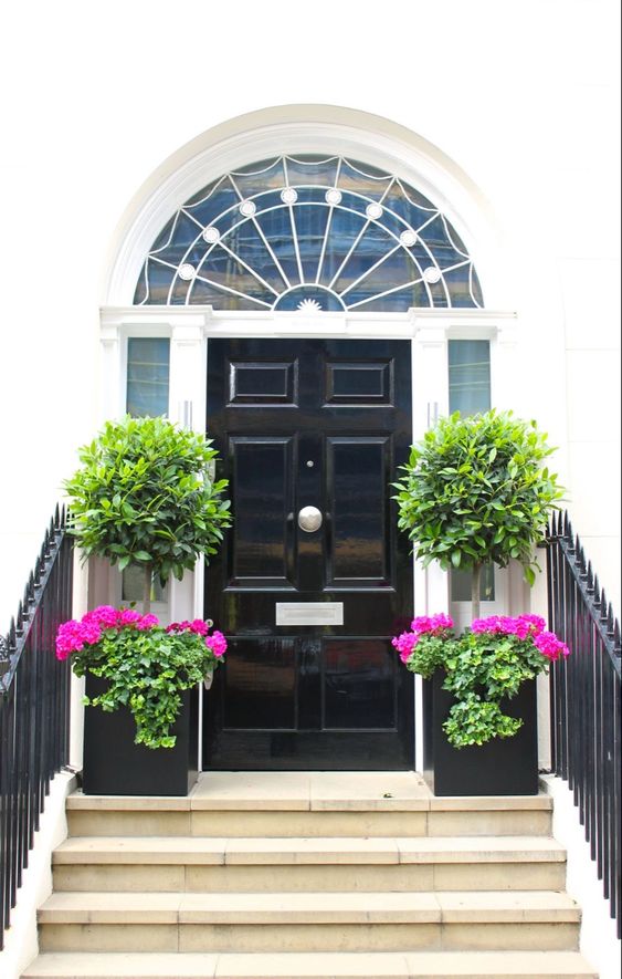 a catchy and bold entrance with a glossy black door, potted topiaries with bright blooms is a cool and lovely space