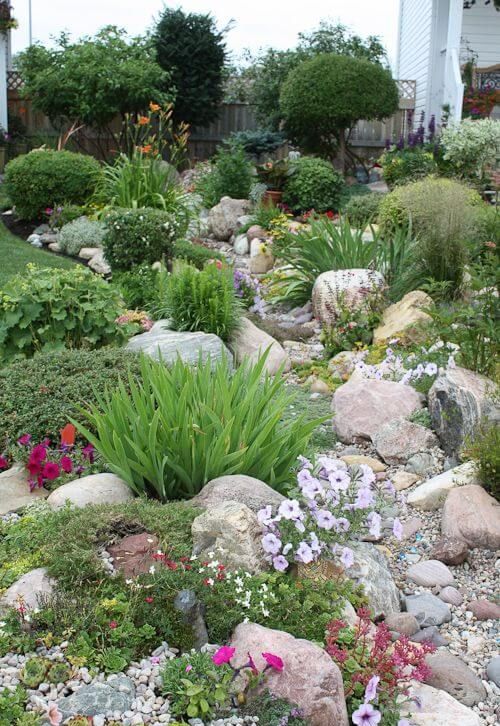 a chic and lovely rock garden with blooms, greenery and some shrubs reminds of some mountainous landscapes