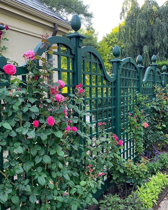 a chic metal green fence covered with bright blooming climbers that accent it with color and add curb appeal to the space