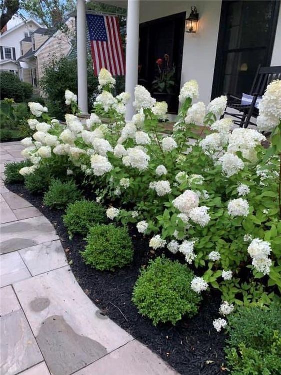 A slightly curved flower bed with topiaries with white blooms is a beautiful way to add curb appeal to your home. 