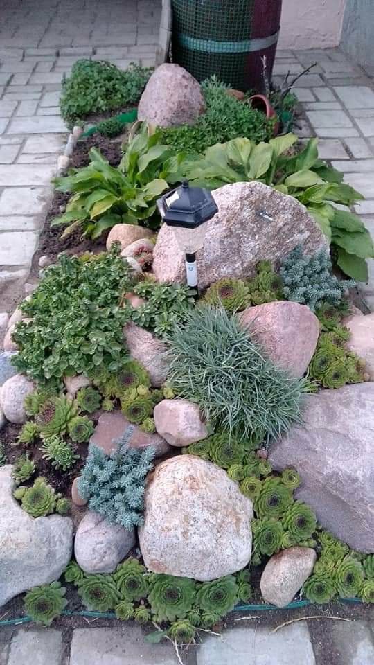 a classic dry climate rock garden with various types of succulents and greenery plus an additional lamp to light the spot up