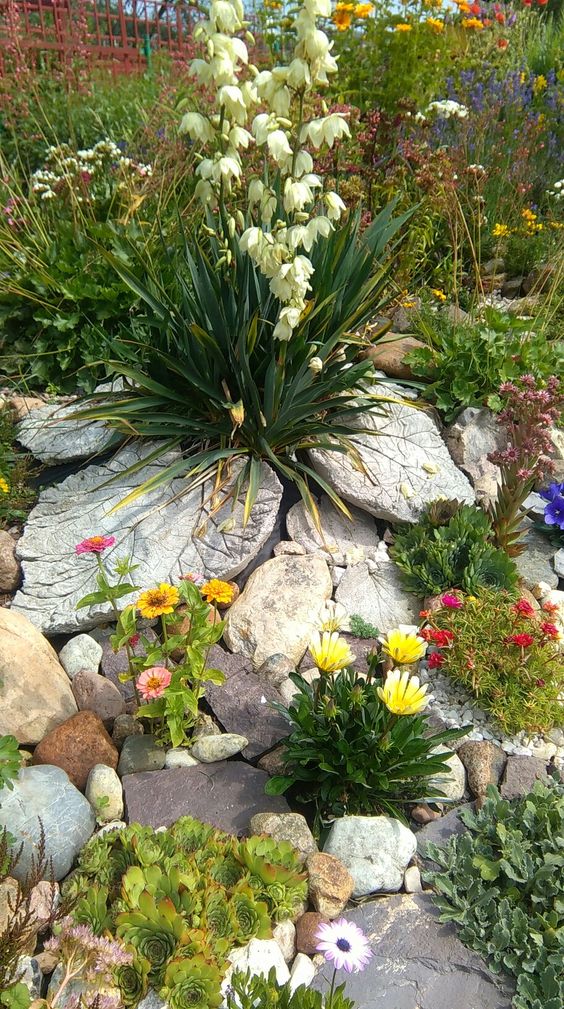 a colorful rock garden with greenery, blooms and succulents plus some pebbles is a very cool and eye-catchy space