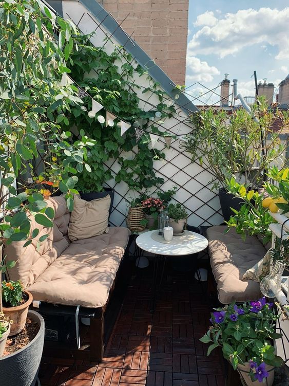 a cool modenr balcony with a trellis completely covered with greenery, with modern sofas and a side table, potted plants and blooms