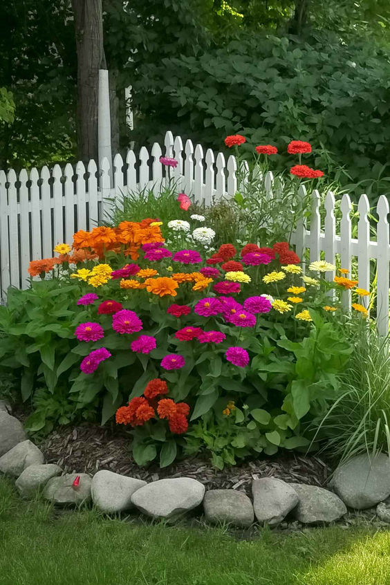 a corner flower bed with super bold blooms will add a touch of color to any garden or front or backyard