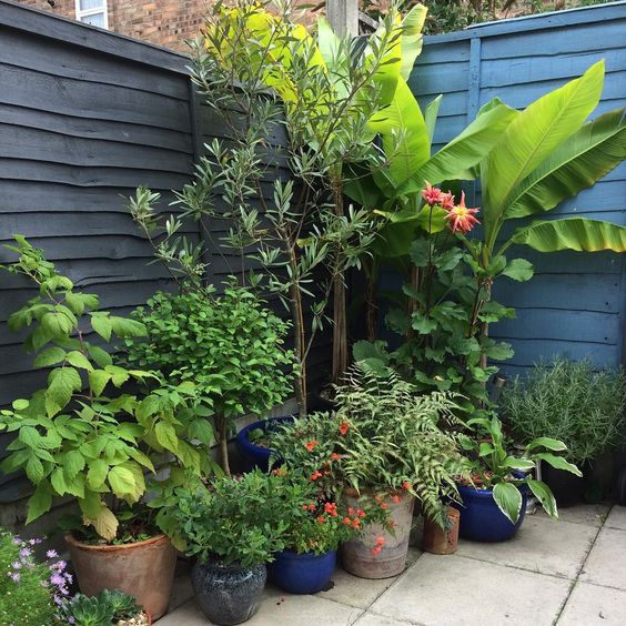 a corner garden done with greenery, trees and flowers in pots is a nice option if you can't plant them for some reason