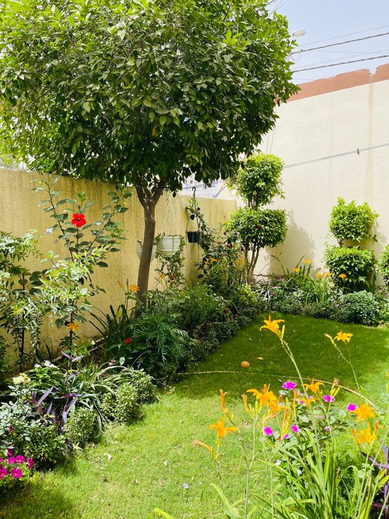 a corner garden with a green lawn, greenery, bright blooms and a tree is a very lively and cozy space