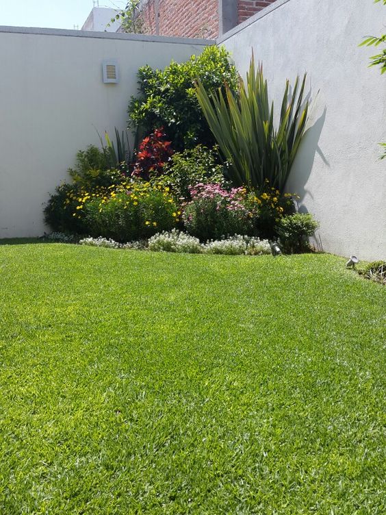 a corner garden with a green lawn, some bright blooms, agaves and a tree is a lovely way to refresh the space