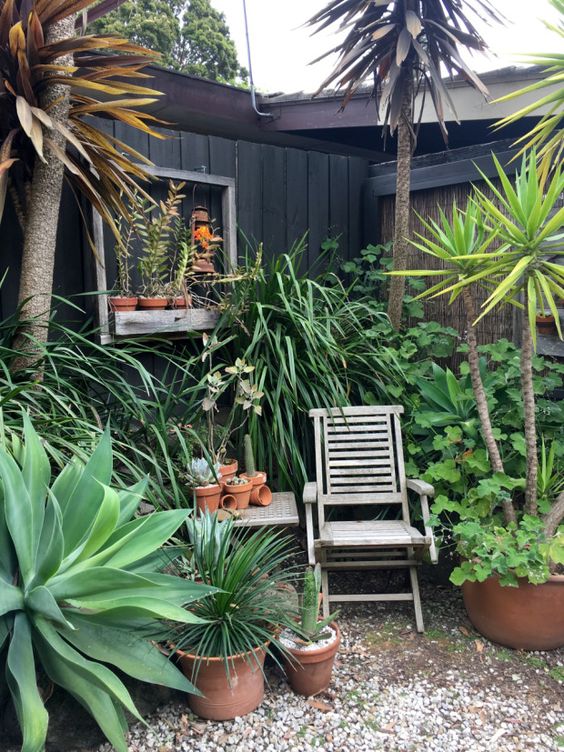 a corner garden with tropical trees, greenery and cacti, agaves and succulents in pots plus a chair to sit and enjoy fresh air here