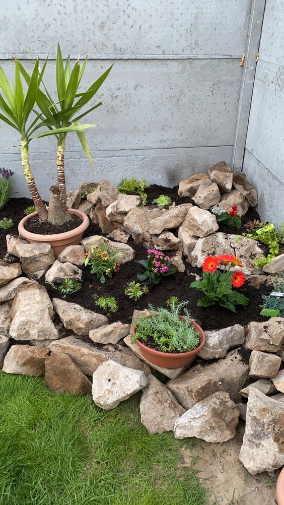 a corner rock garden with blooms and greenery, with potted plants is a cool way to style a small and awkward corner