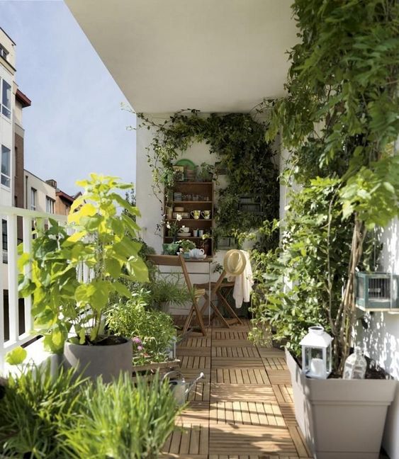 a cozy modern balcony with simple folding furniture, a trellis on the wall and vines climbing up and some planters with greenery and other plants