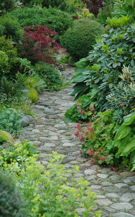 a cozy shade garden with a rock garden path, shrubs and greenery, bold foliage and some small blooms looks a bit wild