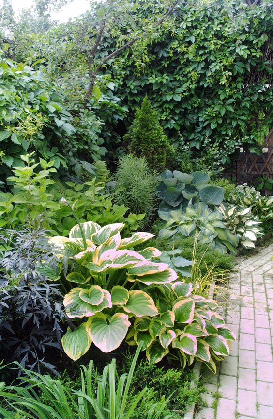 a cozy shady garden with various types of bold greenery, some shrubs and a living wall is a very cool idea to accent your front yard or entrance
