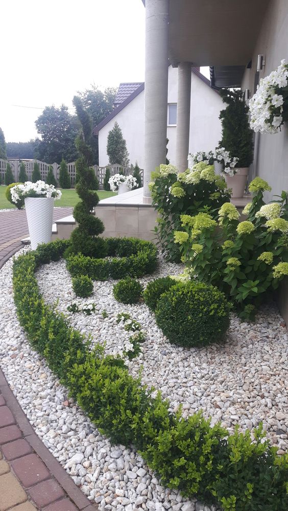 A front yard covered with gravel, with greenery and topiaries and blooming shrubs is a beautiful addition to the front yard. 