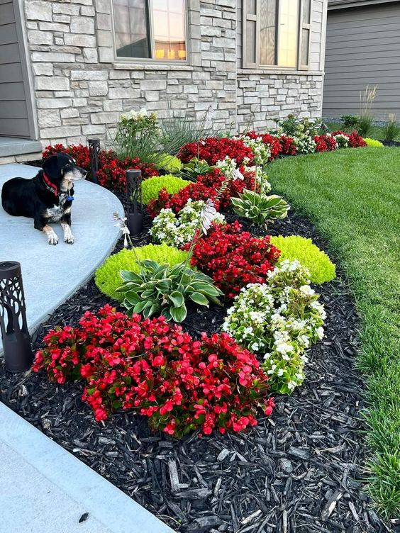 A long creatively shaped flowerbed with red and white blooms and some greenery adds color, interest and eye-catchiness to the front yard.