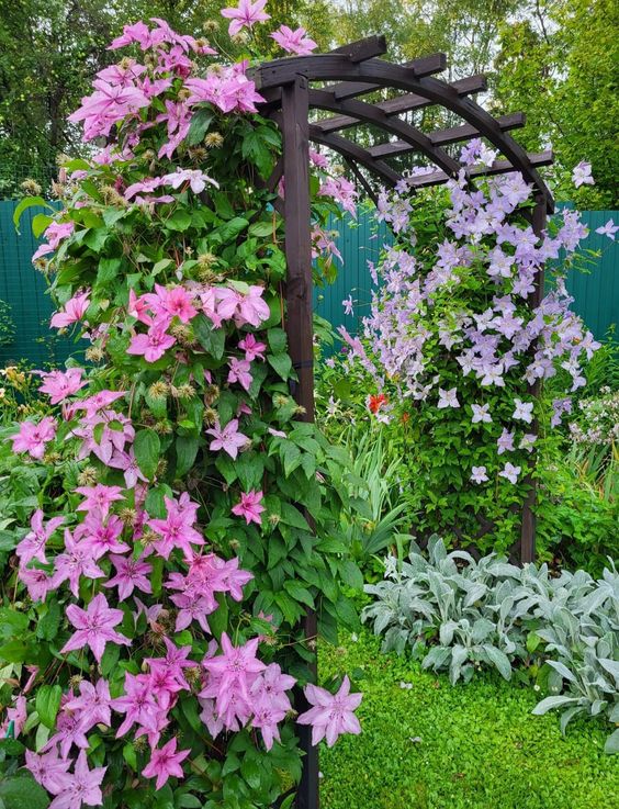 a dark-stained lattic arch covered with greenery, lilac and pink blooms will make the space more eye-catchy and interesting