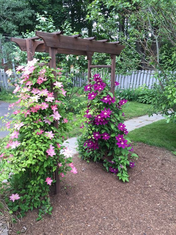 a dark-stained trellis arbor covered with greenery and pink and purple blooms is a stunning decoration for outdoors