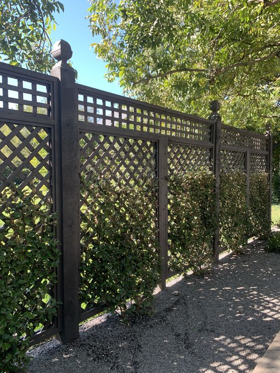 a dark-stained wood lattice fence accented with green vines is a beautiful solution, and climbers bring more privacy to the garden