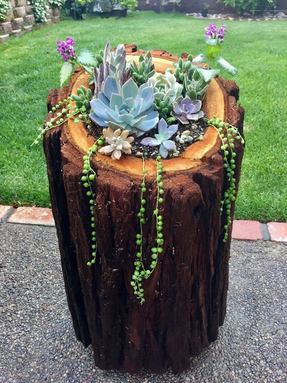 a dark tree stump with yellow and purple succulents and bold blooms is a fun and cool decoration for outdoors, with cool cascading touches