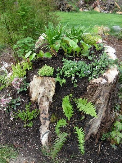 a deconstructed stump as a planter for greenery and fern is a lovely woodland-inspired decoration