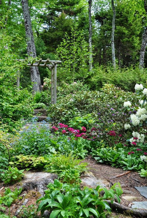a dreamy shady garden with lots of trees, shrubs, blooms, a wooden arch as a trellis and a rock path is a unique space