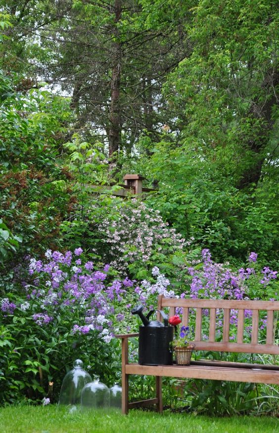 a fab blooming space with greenery and shrubs, a green lawn and some purple blooms, a wooden bench to enjoy this beauty here