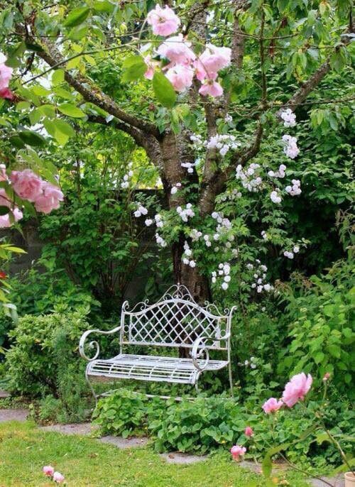 a fab space with a green lawn, grene shrubs and trees, blooming branches, a vintage forged bench is adorable