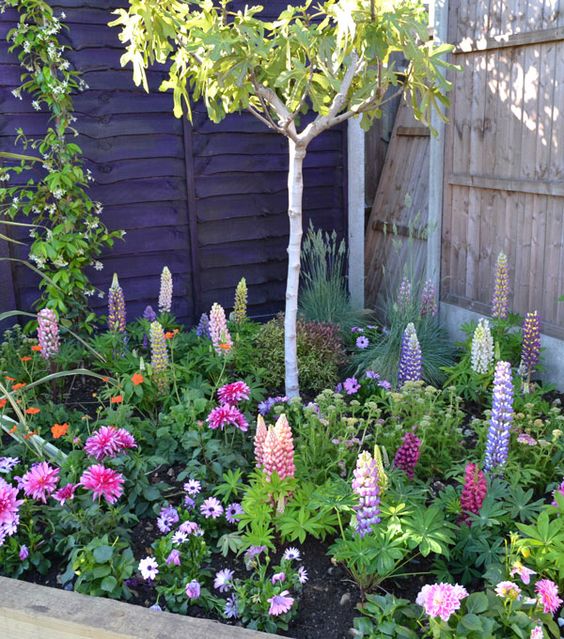 a gorgeous lush corner garden with a tree and super bright blooms is a lovely idea for any space, it looks very lively