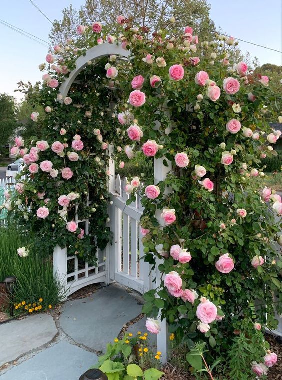 a gorgeous white picket fence with an arbor over the gate, covered with pink roses, look gorgeous and welcome in