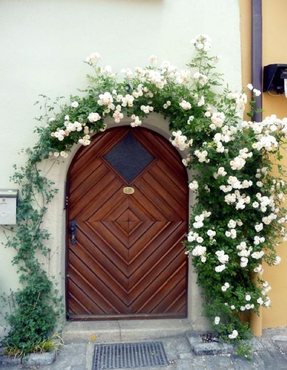 A stained arched front door is refreshed with greenery and white hydrangeas covering the whole arch. 