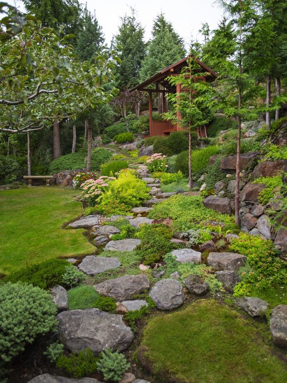 Gary Necci placed each rock in this hillside garden himself. A pergola sits about halfway up the steep hillside.
 This is a very steep and rocky garden with lots of ground cover/alpines/collectors plants. It is all about the steep back hillside where Gary Necci has created something pretty remarkable in his West Seattle back garden. This view looks up from the bottom of the back garden.