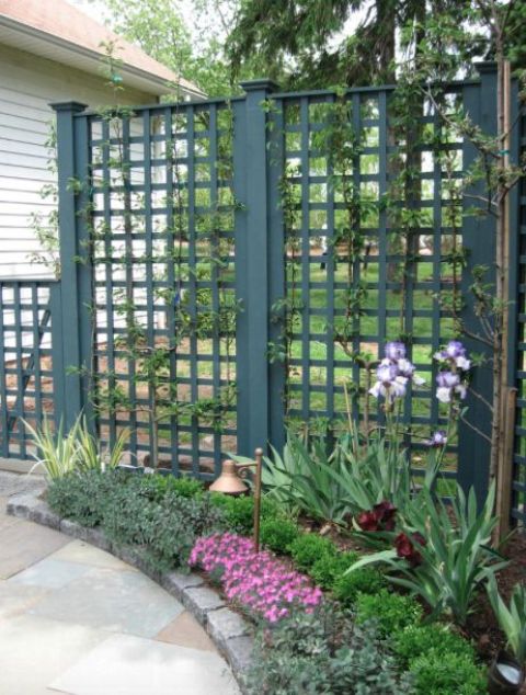 a green metal lattice fence matches the greenery around and covering it with vines gives it a fresher and more natural look