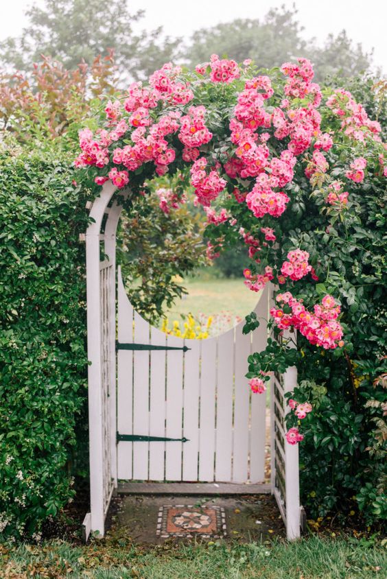 a greenery fence and extra bold pink flowers covering the arbor make up a fantastic combo for a dreamy cottage entrance and garden
